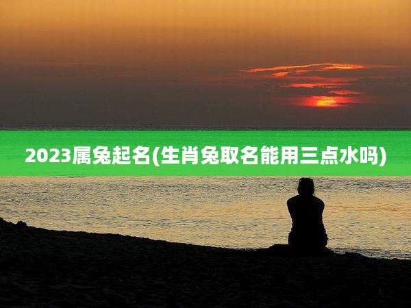 2023属兔起名(生肖兔取名能用三点水吗)