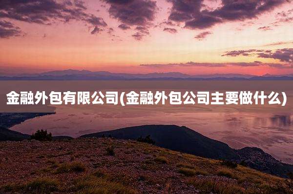金融外包有限公司(金融外包公司主要做什么)