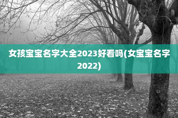 女孩宝宝名字大全2023好看吗(女宝宝名字2022)