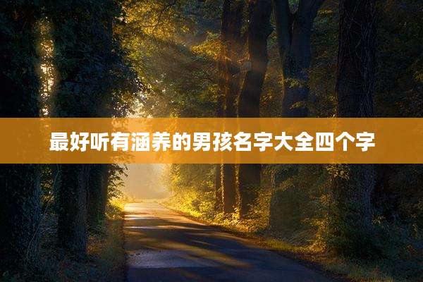 最好听有涵养的男孩名字大全四个字