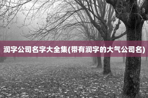 润字公司名字大全集(带有润字的大气公司名)