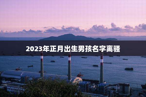2023年正月出生男孩名字离骚