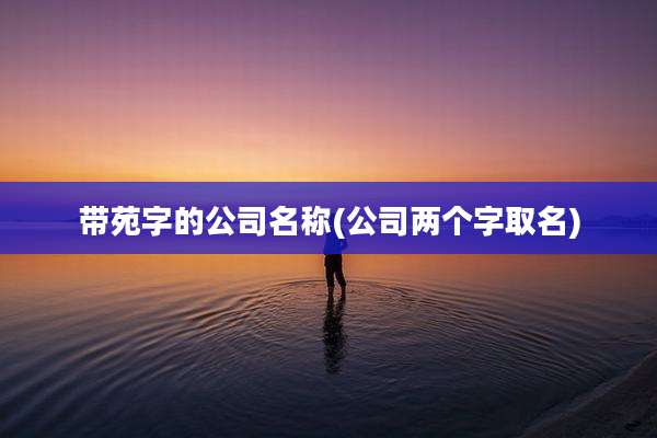 带苑字的公司名称(公司两个字取名)
