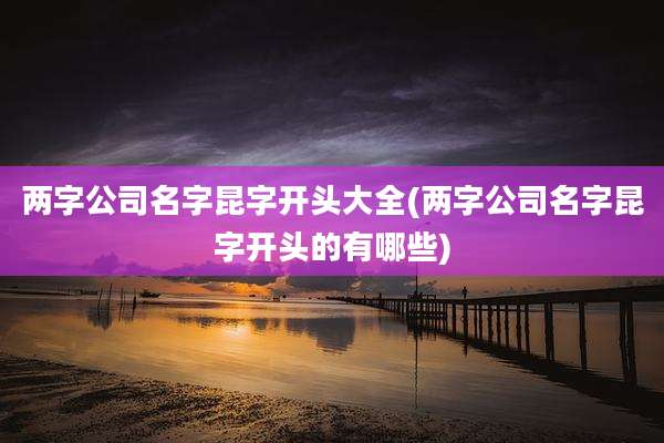 两字公司名字昆字开头大全(两字公司名字昆字开头的有哪些)
