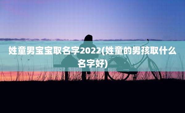 姓童男宝宝取名字2022(姓童的男孩取什么名字好)