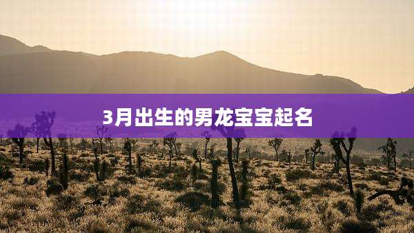 3月出生的男龙宝宝起名