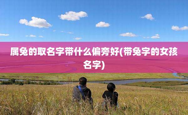 属兔的取名字带什么偏旁好(带兔字的女孩名字)