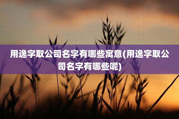 用逸字取公司名字有哪些寓意(用逸字取公司名字有哪些呢)
