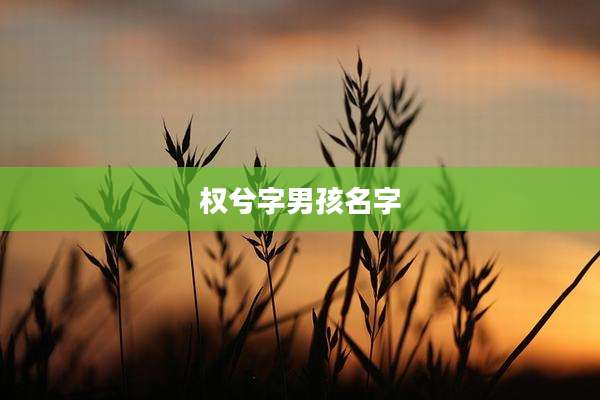 权兮字男孩名字