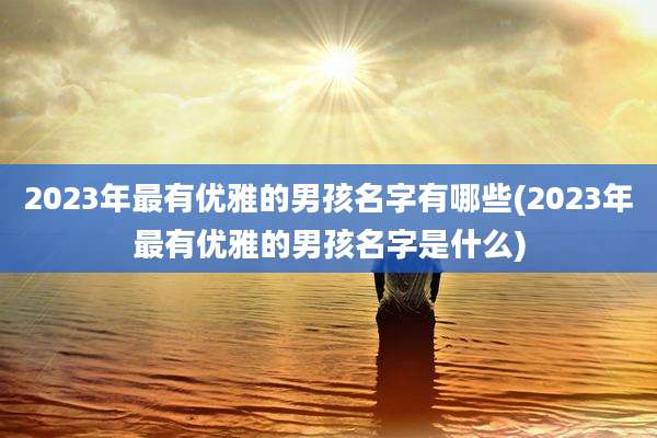2023年最有优雅的男孩名字有哪些(2023年最有优雅的男孩名字是什么)