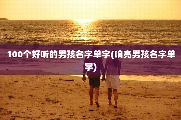 100个好听的男孩名字单字(响亮男孩名字单字)