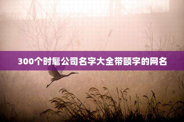 300个时髦公司名字大全带颐字的网名