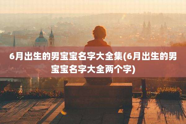 6月出生的男宝宝名字大全集(6月出生的男宝宝名字大全两个字)