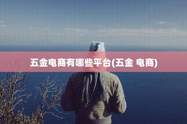 五金电商有哪些平台(五金 电商)