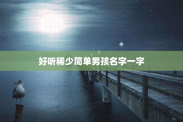好听稀少简单男孩名字一字