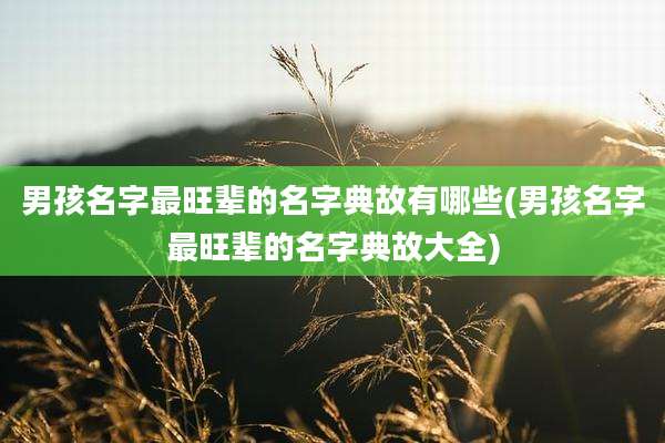 男孩名字最旺辈的名字典故有哪些(男孩名字最旺辈的名字典故大全)