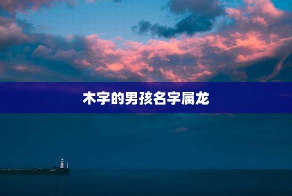 木字的男孩名字属龙