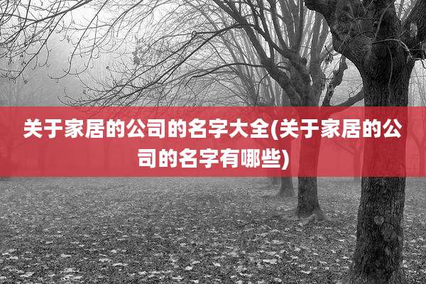 关于家居的公司的名字大全(关于家居的公司的名字有哪些)