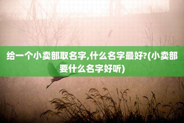 给一个小卖部取名字,什么名字最好?(小卖部要什么名字好听)