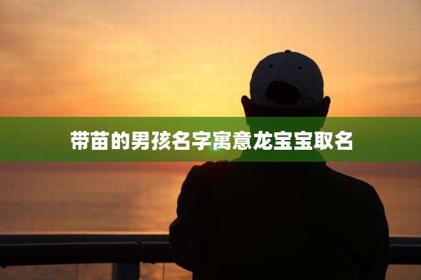 带苗的男孩名字寓意龙宝宝取名