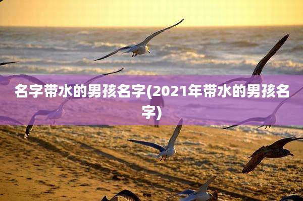 名字带水的男孩名字(2021年带水的男孩名字)