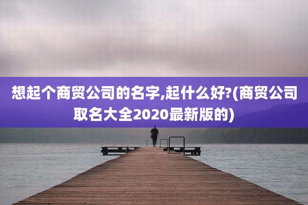 想起个商贸公司的名字,起什么好?(商贸公司取名大全2020最新版的)