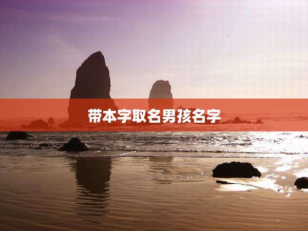 带本字取名男孩名字