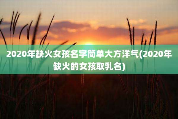 2020年缺火女孩名字简单大方洋气(2020年缺火的女孩取乳名)