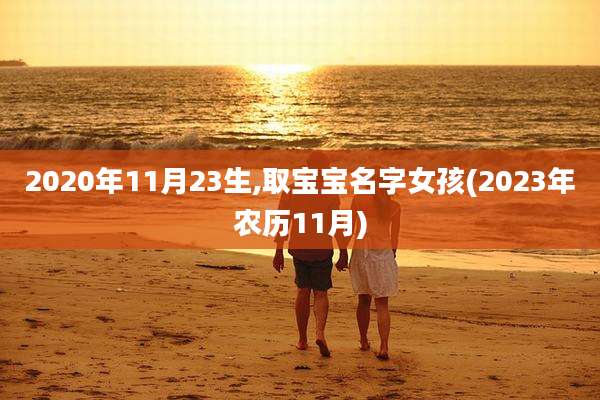 2020年11月23生,取宝宝名字女孩(2023年农历11月)