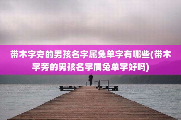 带木字旁的男孩名字属兔单字有哪些(带木字旁的男孩名字属兔单字好吗)