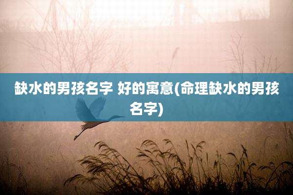 缺水的男孩名字 好的寓意(命理缺水的男孩名字)