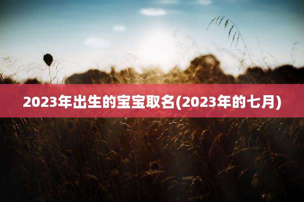 2023年出生的宝宝取名(2023年的七月)