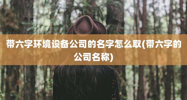 带六字环境设备公司的名字怎么取(带六字的公司名称)