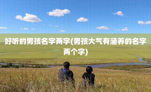好听的男孩名字两字(男孩大气有涵养的名字两个字)
