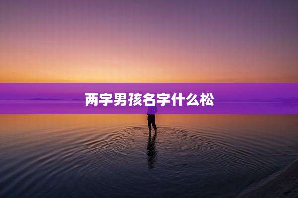 两字男孩名字什么松
