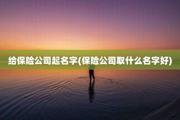 给保险公司起名字(保险公司取什么名字好)