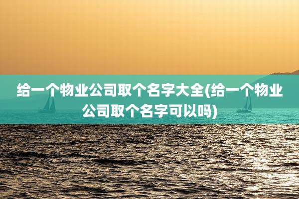 给一个物业公司取个名字大全(给一个物业公司取个名字可以吗)
