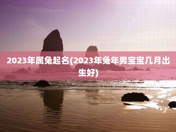 2023年属兔起名(2023年兔年男宝宝几月出生好)