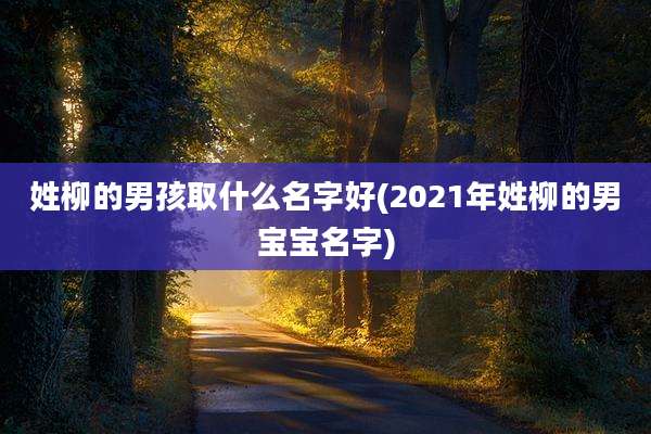 姓柳的男孩取什么名字好(2021年姓柳的男宝宝名字)