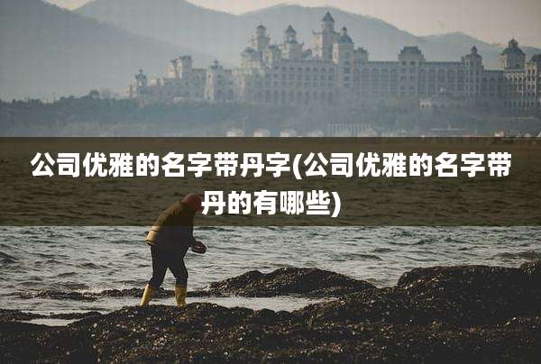 公司优雅的名字带丹字(公司优雅的名字带丹的有哪些)