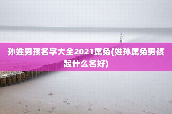孙姓男孩名字大全2021属兔(姓孙属兔男孩起什么名好)