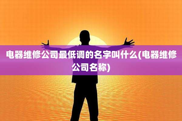 电器维修公司最低调的名字叫什么(电器维修公司名称)