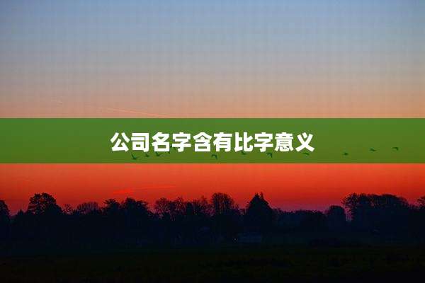 公司名字含有比字意义