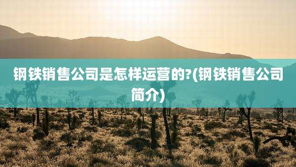 钢铁销售公司是怎样运营的?(钢铁销售公司简介)