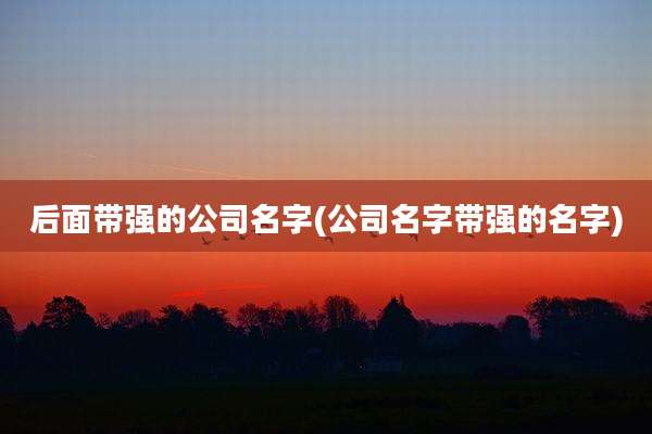 后面带强的公司名字(公司名字带强的名字)
