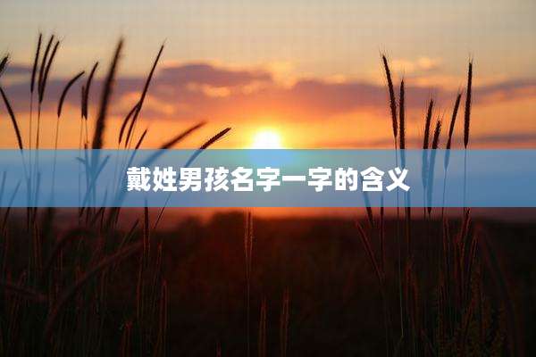 戴姓男孩名字一字的含义
