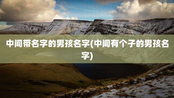 中间带名字的男孩名字(中间有个子的男孩名字)