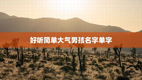 好听简单大气男孩名字单字