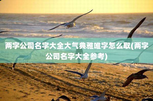 两字公司名字大全大气典雅唯字怎么取(两字公司名字大全参考)