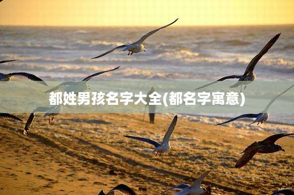 都姓男孩名字大全(都名字寓意)